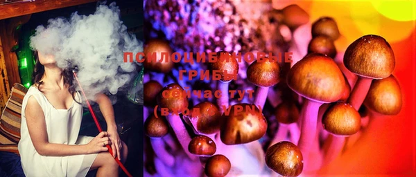 марки lsd Каменка